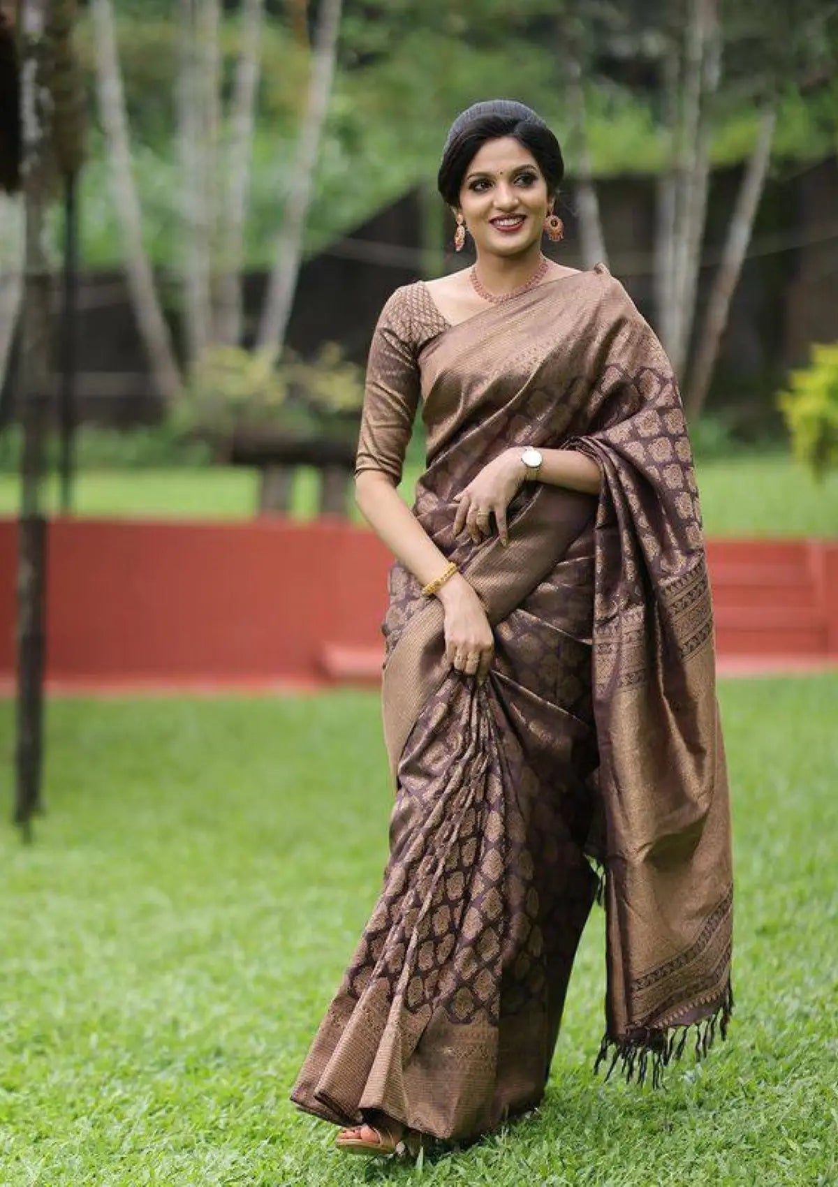 Brown with Banarasi Zari Saree