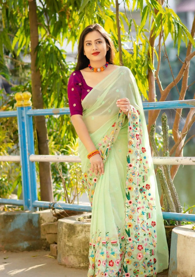 Colorful Sequence Embroidery saree