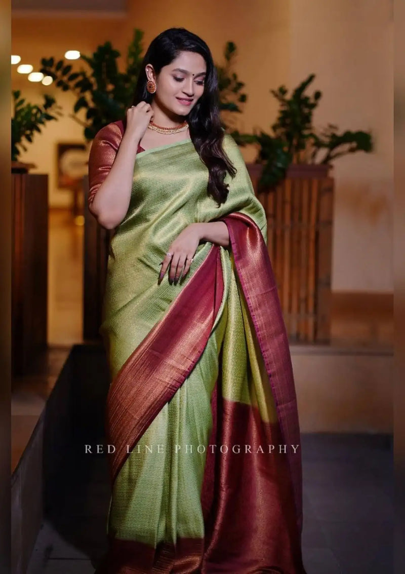 Green colour 2025 wedding saree