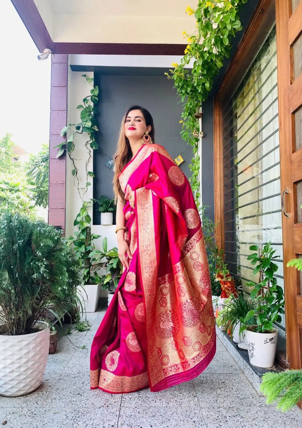 Rani Two-Tone Shinning Silk Saree