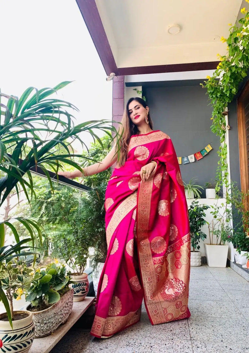 Rani Two-Tone Shinning Silk Saree